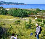 Orchideenwiese bei Smokinja