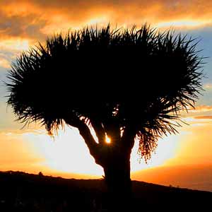 Gibt's da noch Steigerungsmöglichkeiten?