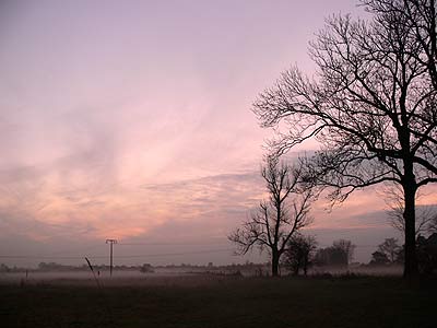 Sonnenuntergang über Magdeburg
