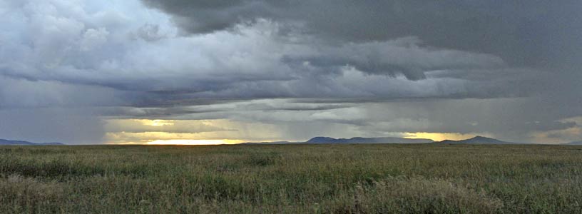 Regenzeit in der Serengeti