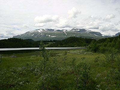 Vennisfjell