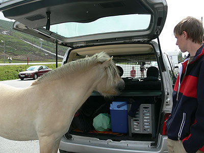 was habt Ihr im Kofferraum?