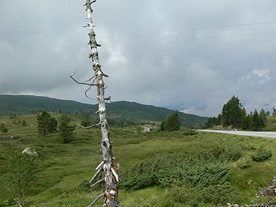 Utvikfjell