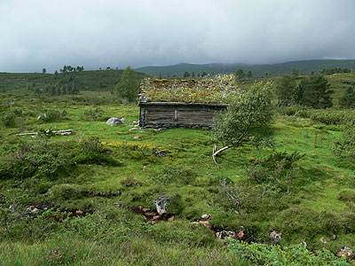 Fjell