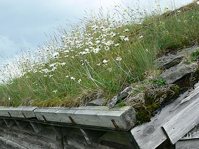 Fjell