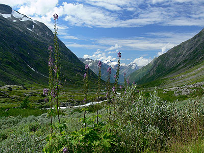 Gamle Strynfjellsveg
