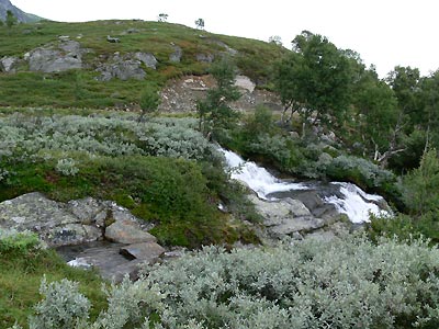 Vennisfjell