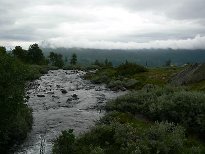 Vennisfjell