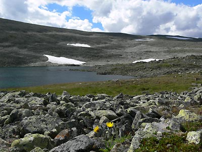 Slettefjell