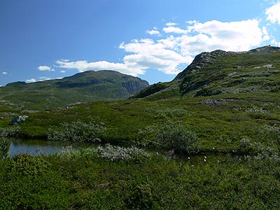 Oløfjorden