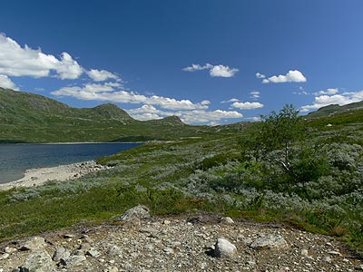 Oløfjorden