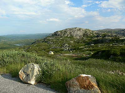 Haukelifjell