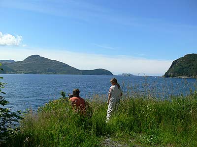 Vågsøy