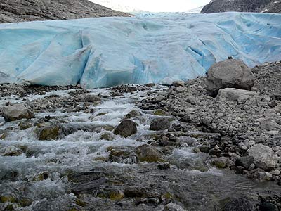 Bødalsbreen
