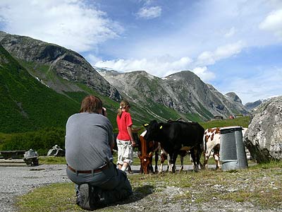 Fotografen bei der Arbeit