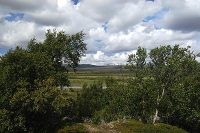Dovrefjell
