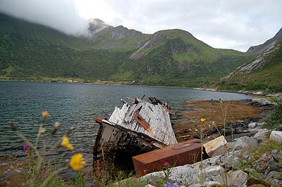 Wrack auf den Lofoten