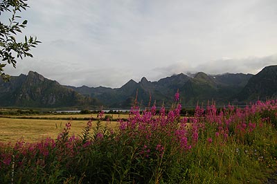 Lofoten