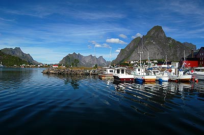 Reine