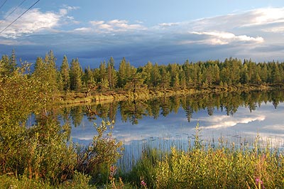 Schwedensee mit Mücken