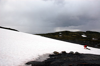 Hardangervidda