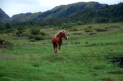 Stavang Berge Standal