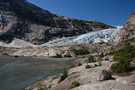 Nigardsbreen