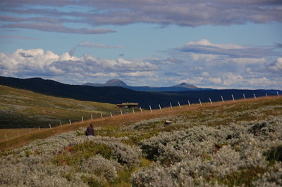 Blick übers Fjell