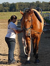 Pacco mit Doreen