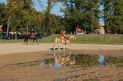 Spiegelbilder