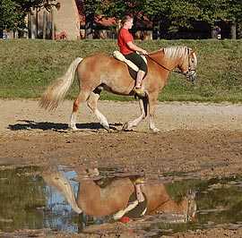 Spiegelbilder