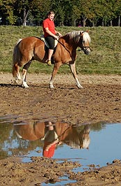 Spiegelbilder