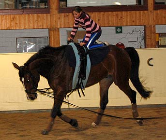 Woopi-Training
