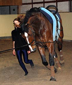 Woopi-Training