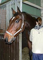 Training mit Rokato