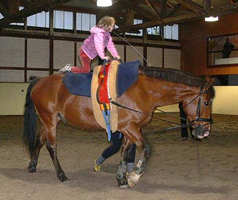 Pacco-Training
