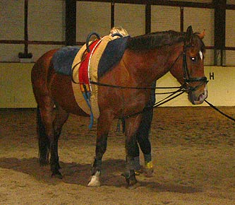 Pacco-Training