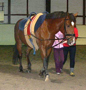 Pacco-Training
