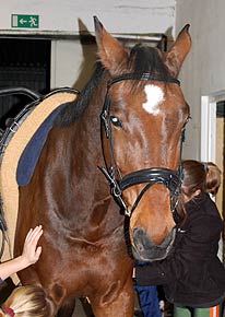 Rocato