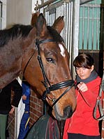 Training mit Rokato