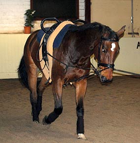 Rocato