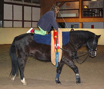 Training 