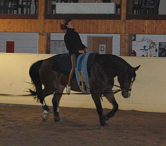 Training 