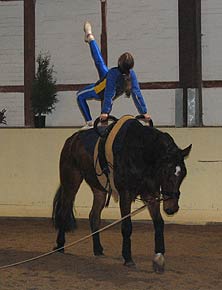 Training 