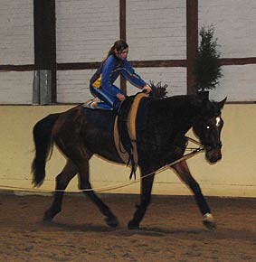 Training 