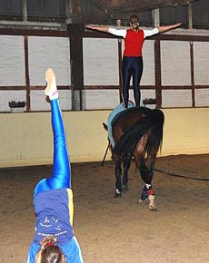 Training 