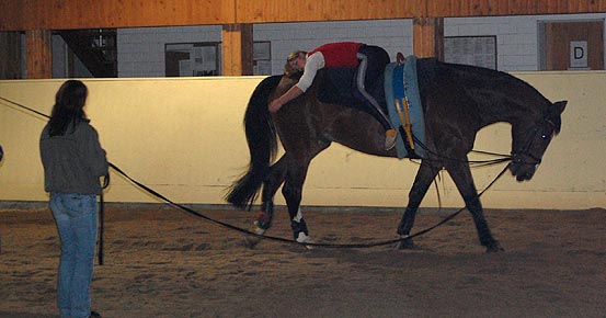 Training 