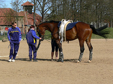 Woopi-Training