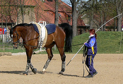 Woopi-Training