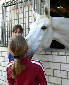Woopi-Training